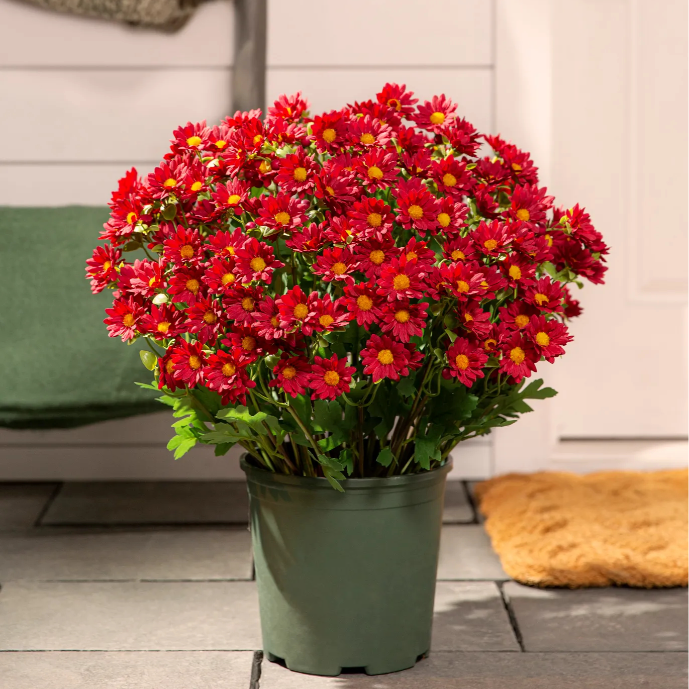 💥 Last Day! 6 Bundles Just $19.98 🌼- Artificial Outdoor Sunset Mums Flowers - UV resistant, Waterproof, Windproof