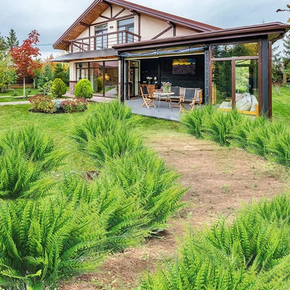 🔥Autumn Celebration Exclusive! 🌿Get the UV-Resistant Lifelike Artificial Boston Fern for Just $9.98 🎁 SAVE 75%!