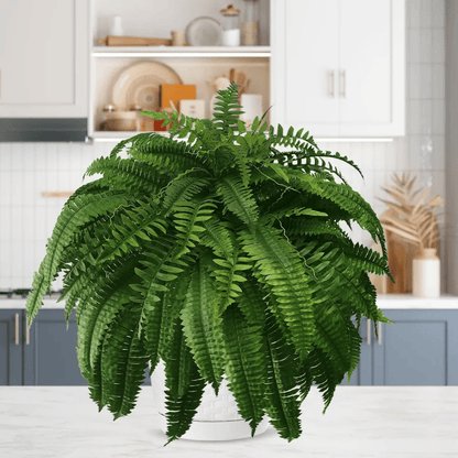 🔥Autumn Celebration Exclusive! 🌿Get the UV-Resistant Lifelike Artificial Boston Fern for Just $9.98 🎁 SAVE 75%!