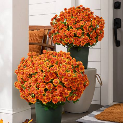 💥 Last Day! 6 Bundles Just $19.98 🌼- Artificial Outdoor Sunset Mums Flowers - UV resistant, Waterproof, Windproof