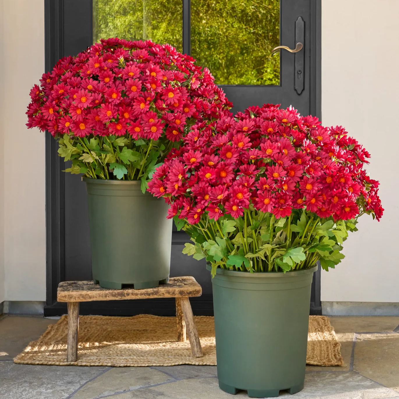 💥 Last Day! 6 Bundles Just $19.98 🌼- Artificial Outdoor Sunset Mums Flowers - UV resistant, Waterproof, Windproof